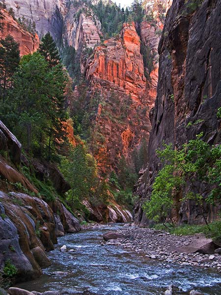 Photo of Virgin River Narrows in the Morning at Zion National Park photo