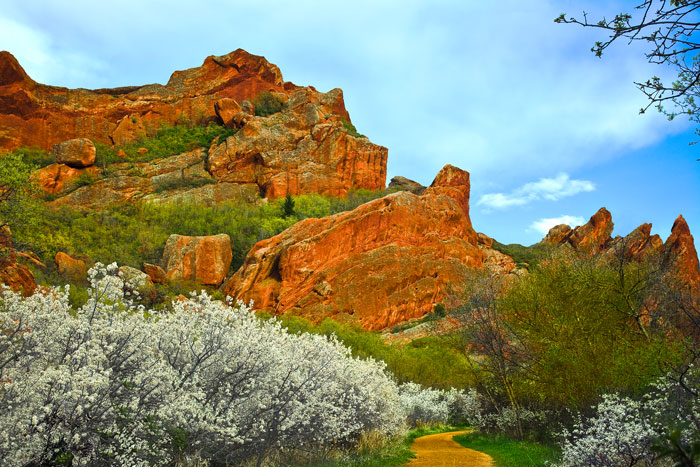 Spring comes to Roxborough Park Colorado